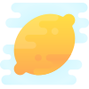 DummySolution